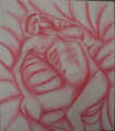 Red of Comfort pic