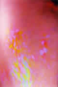 Spiritual Energy