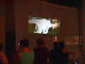animation