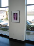photopaintings on the wall